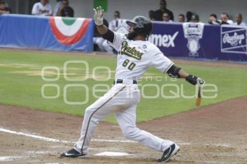 SERIE DEL REY . PERICOS VS TOROS