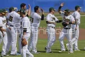 SERIE DEL REY . PERICOS VS TOROS