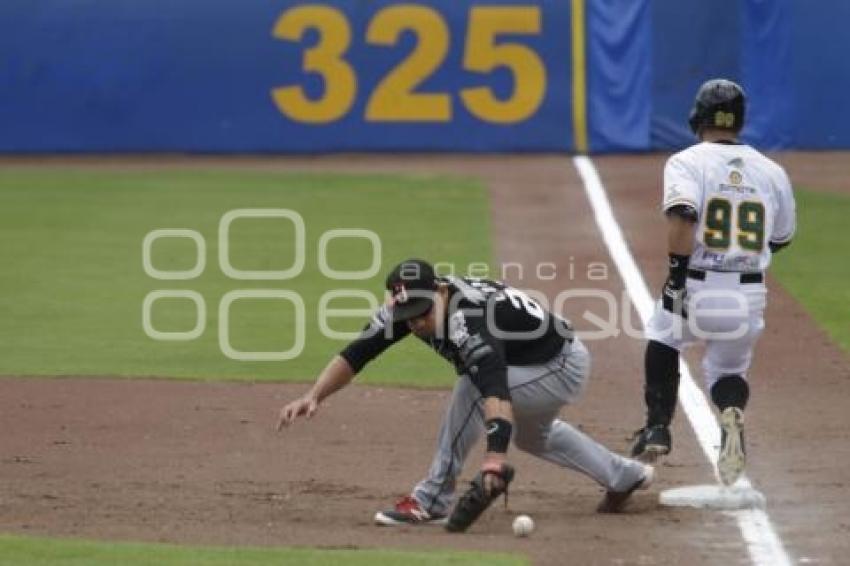 SERIE DEL REY . PERICOS VS TOROS