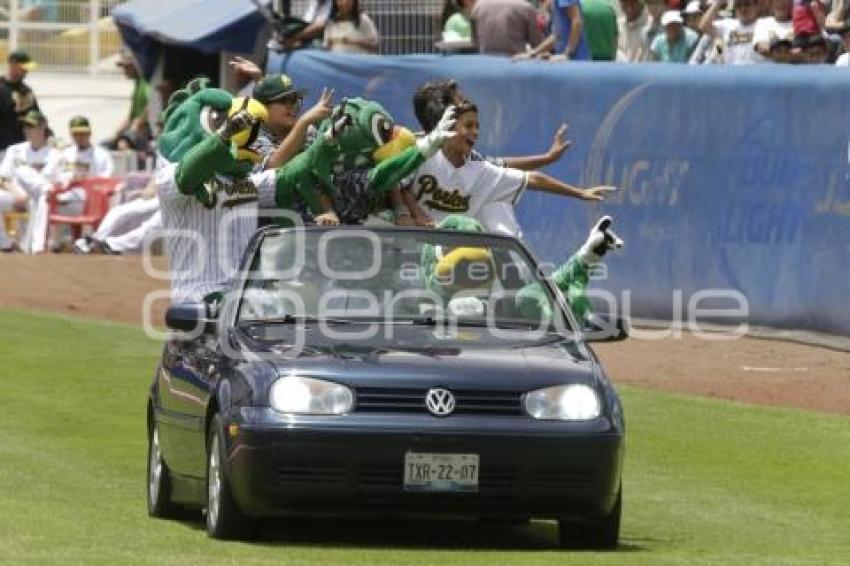 SERIE DEL REY . PERICOS VS TOROS