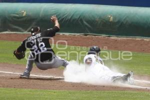 SERIE DEL REY . PERICOS VS TOROS