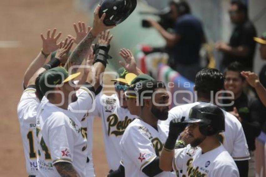 SERIE DEL REY . PERICOS VS TOROS