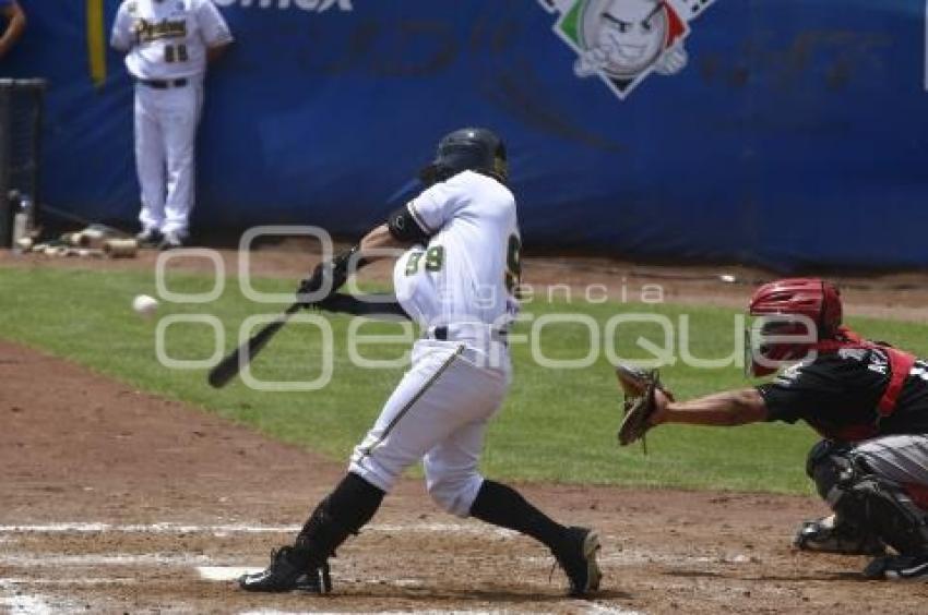 SERIE DEL REY . PERICOS VS TOROS