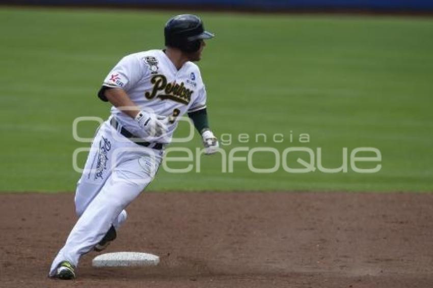 SERIE DEL REY . PERICOS VS TOROS