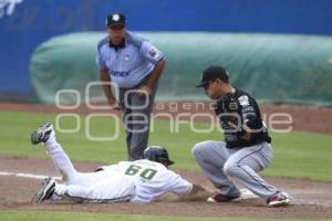 SERIE DEL REY . PERICOS VS TOROS