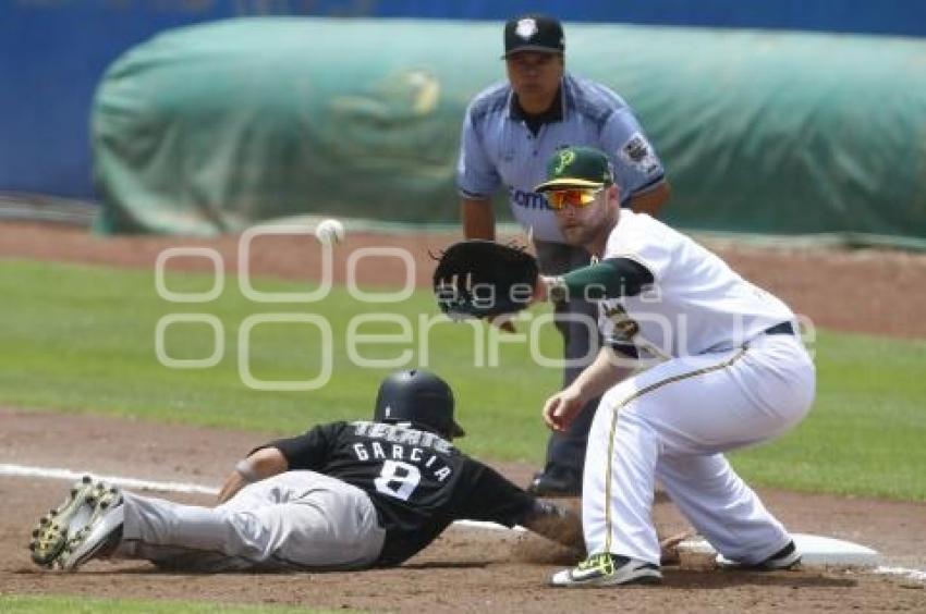 SERIE DEL REY . PERICOS VS TOROS