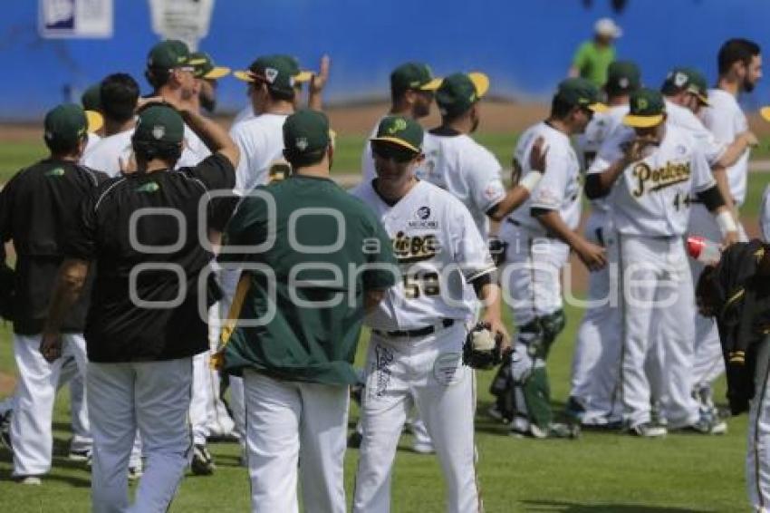 SERIE DEL REY . PERICOS VS TOROS