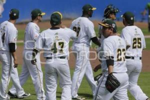 SERIE DEL REY . PERICOS VS TOROS