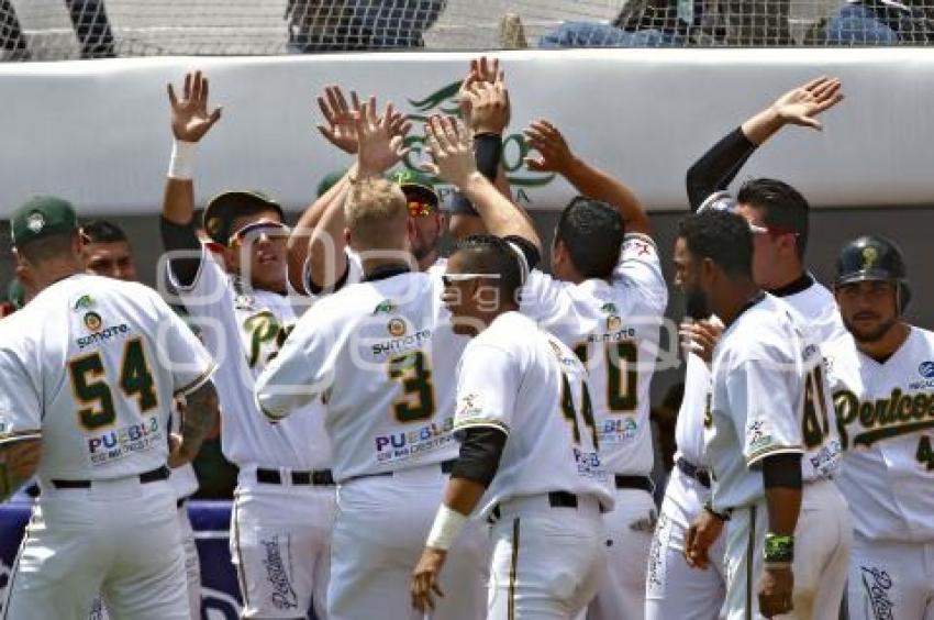 SERIE DEL REY . PERICOS VS TOROS