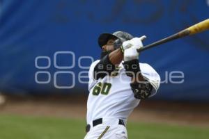 SERIE DEL REY . PERICOS VS TOROS