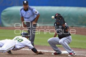 SERIE DEL REY . PERICOS VS TOROS