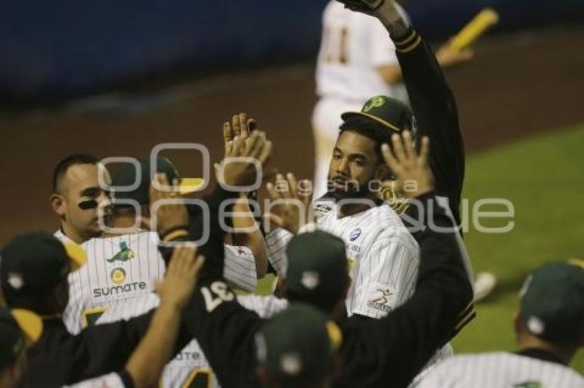 SERIE DEL REY . PERICOS VS TOROS