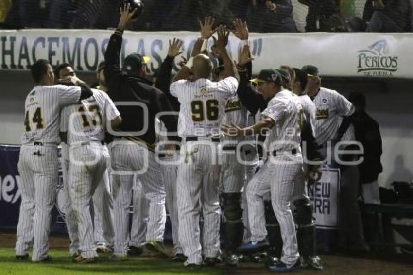 SERIE DEL REY . PERICOS VS TOROS