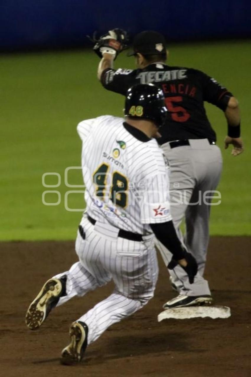 SERIE DEL REY . PERICOS VS TOROS