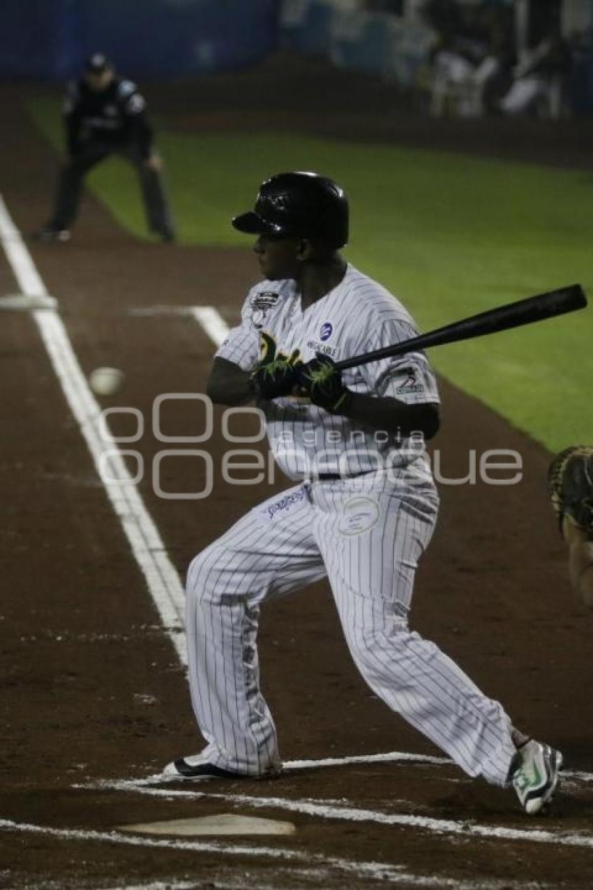 SERIE DEL REY . PERICOS VS TOROS