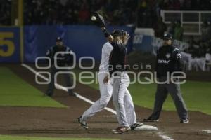 SERIE DEL REY . PERICOS VS TOROS