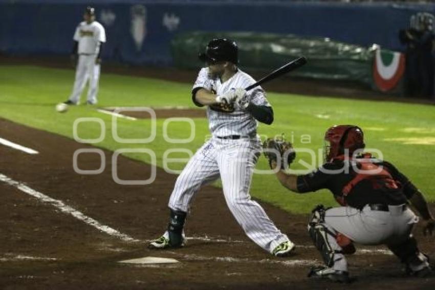 SERIE DEL REY . PERICOS VS TOROS