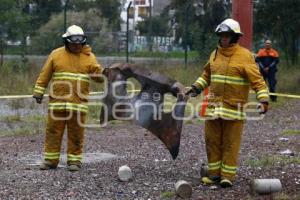 PIROTECNIA . PROTECCION CIVIL MUNICIPAL