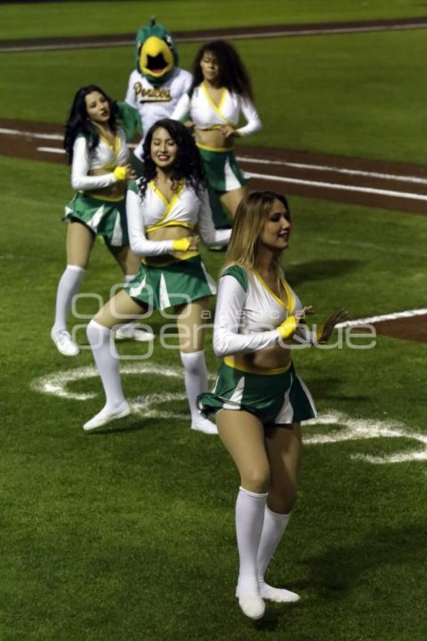 SERIE DEL REY . PERICOS VS TOROS