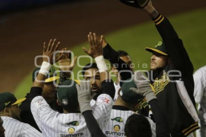 SERIE DEL REY . PERICOS VS TOROS