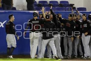 SERIE DEL REY . PERICOS VS TOROS