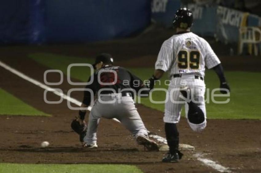 SERIE DEL REY . PERICOS VS TOROS