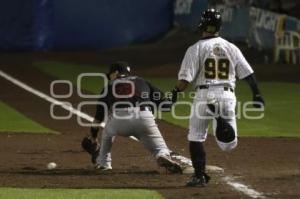 SERIE DEL REY . PERICOS VS TOROS