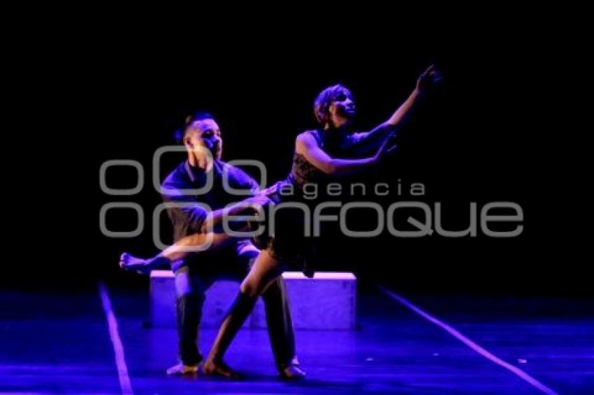 DANZA CONTEMPORANEA. CRÓNICAS DE LA TRANSHUMANCIA