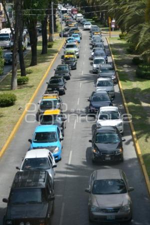 CONSEJO TAXISTA . CARAVANA