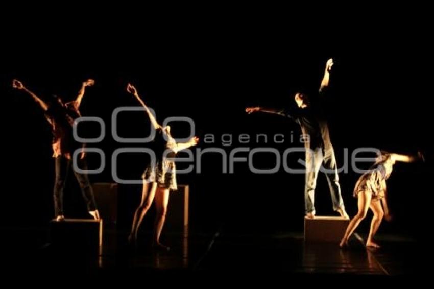 DANZA CONTEMPORANEA. CRÓNICAS DE LA TRANSHUMANCIA