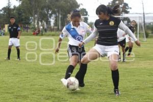 TORNEO DE LOS BARRIOS