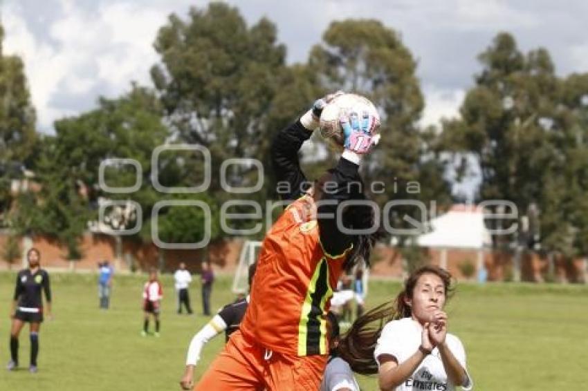 TORNEO DE LOS BARRIOS