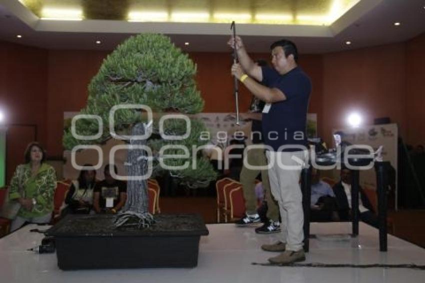 XII CONGRESO INTERNACIONAL DEL BONSAI 