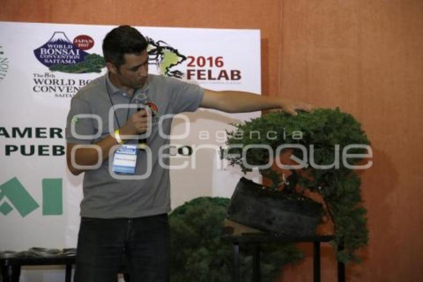 XII CONGRESO INTERNACIONAL DEL BONSAI