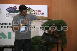 XII CONGRESO INTERNACIONAL DEL BONSAI 