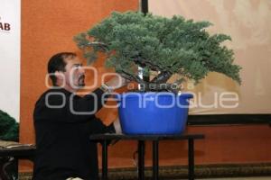 XII CONGRESO INTERNACIONAL DEL BONSAI 