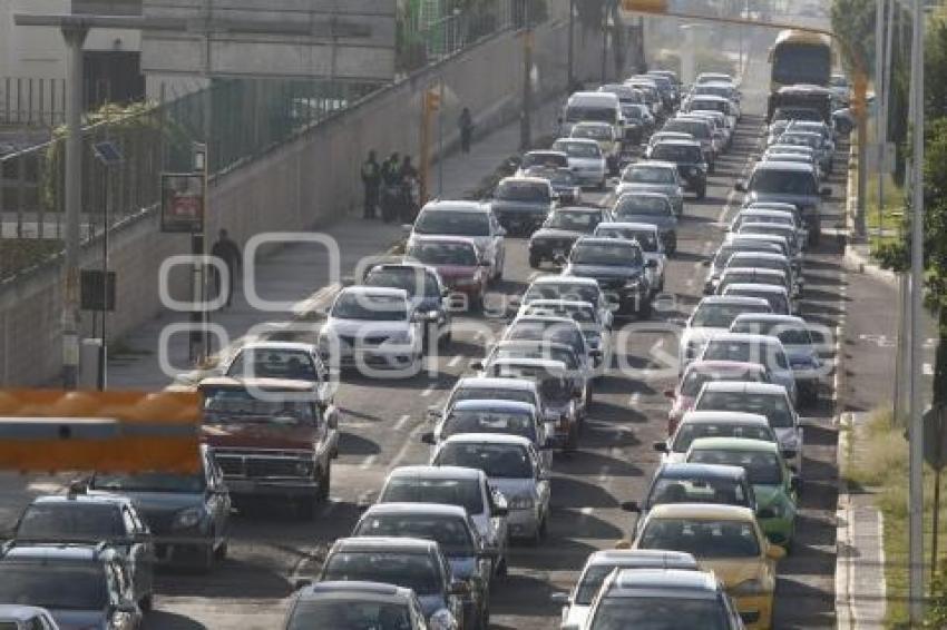 DÍA MUNDIAL SIN AUTO