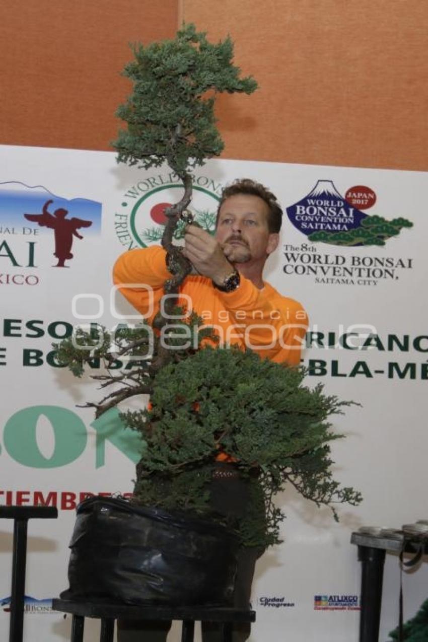 XII CONGRESO INTERNACIONAL DEL BONSAI 