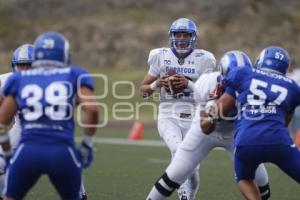 FÚTBOL AMERICANO . BORREGOS VS ITESM MEX