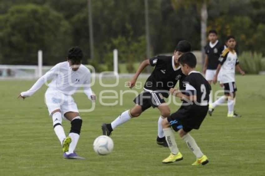 FUTBOL . VISORÍAS . CLUB TIGRES 