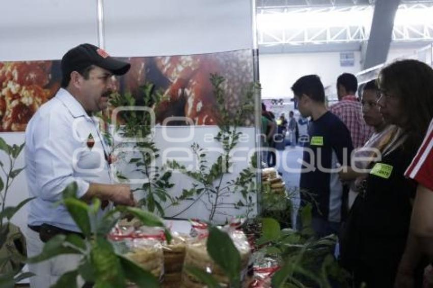 FORO GLOBAL AGROALIMENTARIO 2016