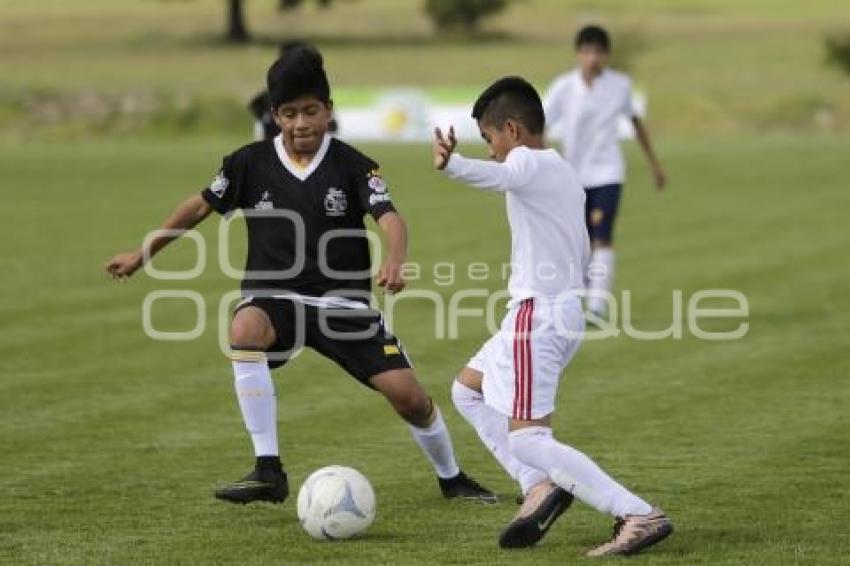 FUTBOL . VISORÍAS . CLUB TIGRES 