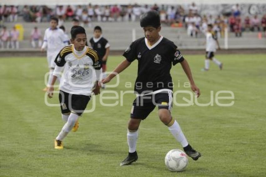 FUTBOL . VISORÍAS . CLUB TIGRES 