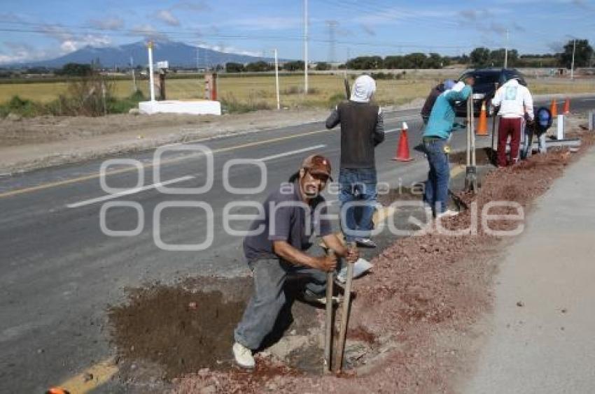 CARRETERA SAN JOSÉ CHIAPA . AUDI