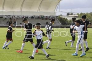 FUTBOL . VISORÍAS . CLUB TIGRES 