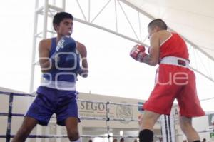 TORNEO DE BARRIOS . BOX