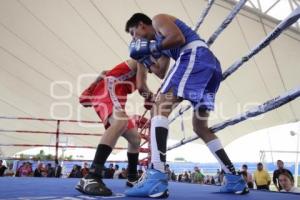 TORNEO DE BARRIOS . BOX