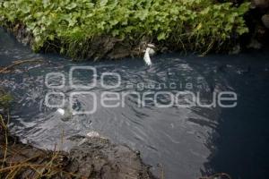 CONTAMINACIÓN EN HUEJOTZINGO