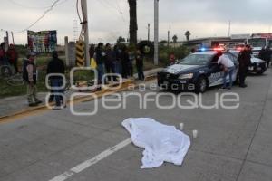 ATROPELLADO FEDERAL A TEHUACÁN