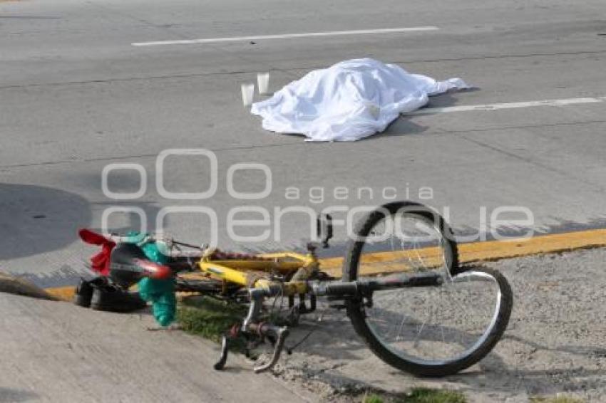 ATROPELLADO FEDERAL A TEHUACÁN